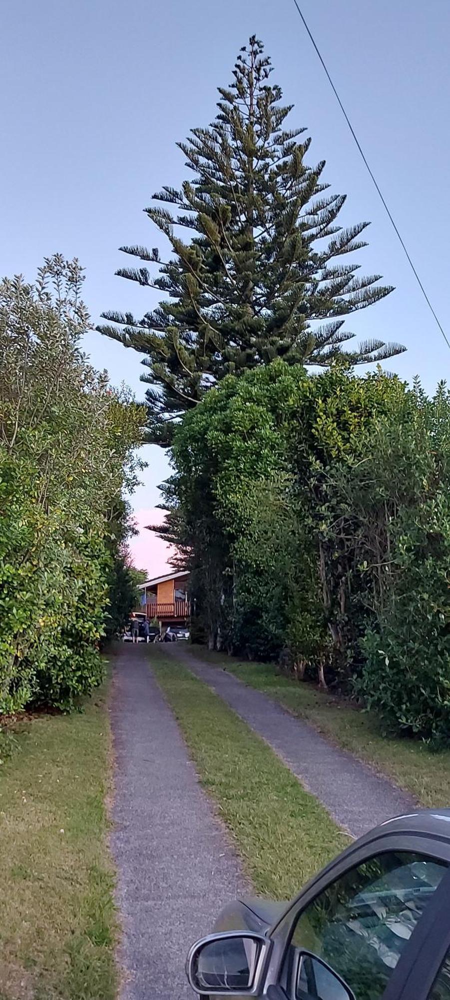 Haley'S Cabin 陶朗加 外观 照片