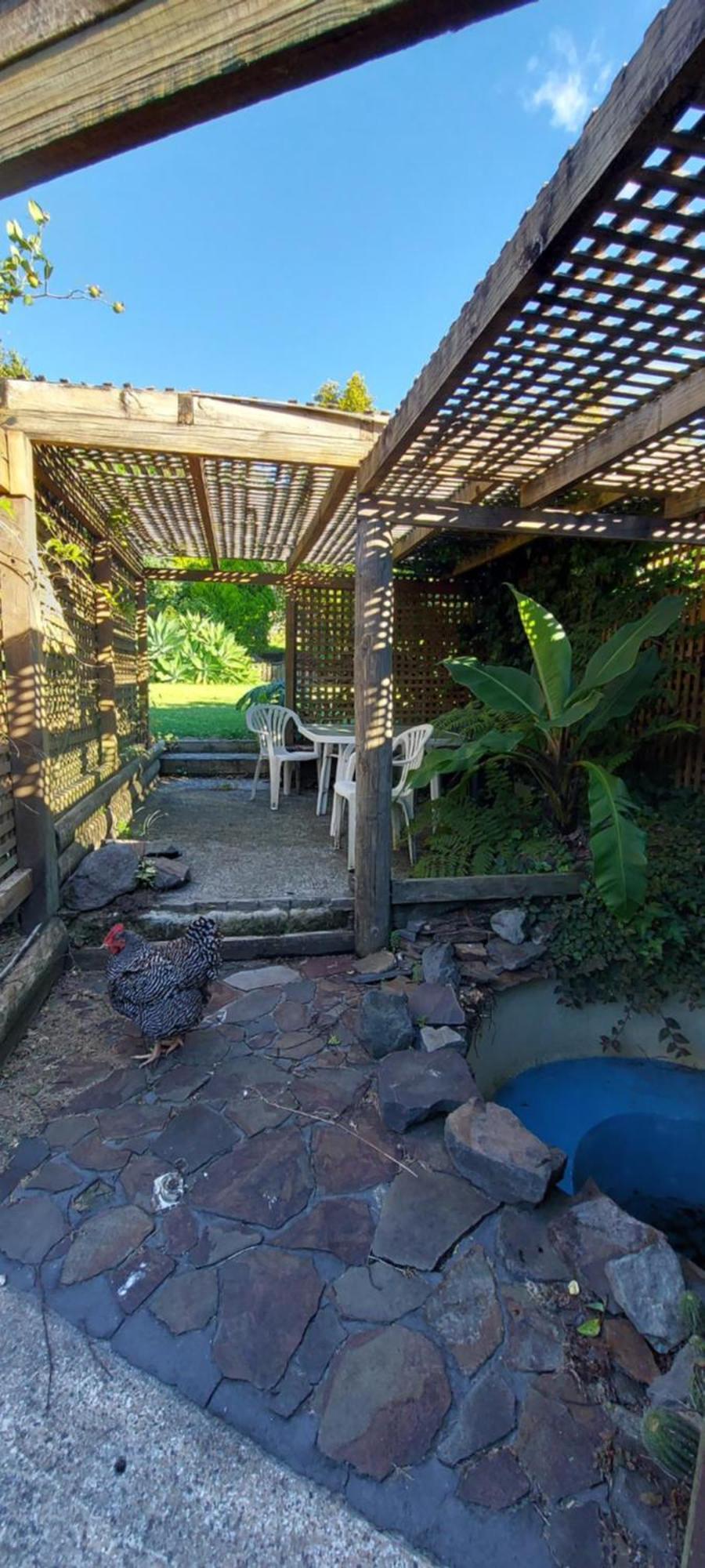 Haley'S Cabin 陶朗加 外观 照片
